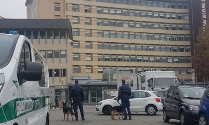 Torino: parcheggiatori abusivi, aumentano i controlli della municipale