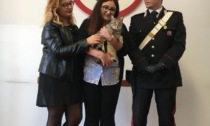 Torino: trova gatto e chiede un riscatto, i Carabinieri arrestano estortrice