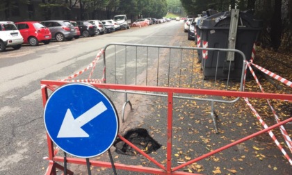 Alessandria: cedimento di strada in viale Medaglie d'oro