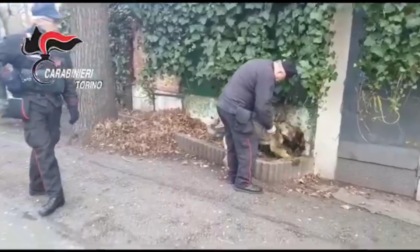 Torino: controlli nel parco del Valentino, 5 arresti e 2 denunce