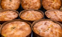 Castelnuovo Scrivia: continua la tradizione della torta con il carsént