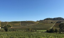 Langhe Monferrato e Roero: bilancio in attivo