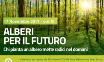Alessandria, "Alberi per il futuro": l'evento di domenica 17 novembre