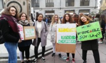 Fridays for Future Alessandria, nuovo sciopero per il clima