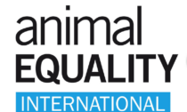 Torino: proteste di Animal Equality