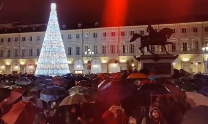 Torino: acceso l'albero di Natale in Piazza San Carlo