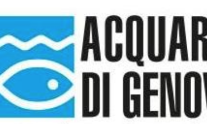 Riapre sabato 29 febbraio l'Acquario di Genova