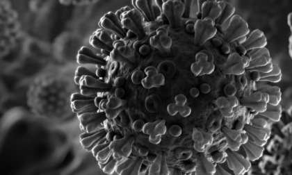 Coronavirus Liguria: 428 i decessi, 68 i guariti