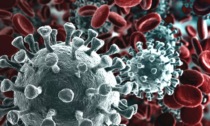 Coronavirus: aggiornamento contagi in Piemonte