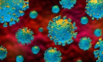 Coronavirus, Liguria: 620 i decessi totali, 212 i guariti
