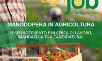 Emergenza manodopera: con ‘Agrijob’ Confagricoltura fa incontrare domanda e offerta