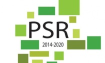 PSR Piemonte: aperto il bando 2020 per promozione agroalimentare di qualità