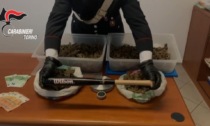 Volpiano (TO): carabinieri individuano “e-commerce della marijuana”