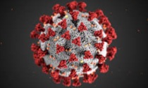 Coronavirus Liguria: 47 nuovi casi ma nessun decesso