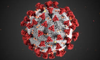 Coronavirus Liguria: 13 i tamponi positivi, i decessi rimangono a zero