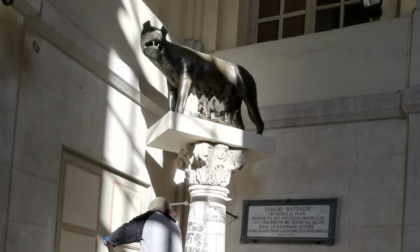 Alessandria: colonna raffigurante la lupa spostata nel palazzo comunale