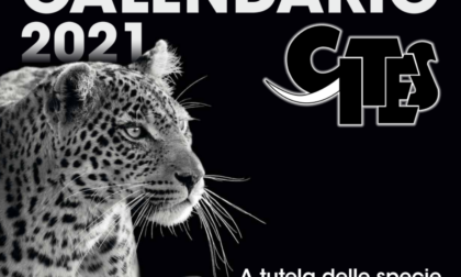 Il Calendario CITES 2021, alla scoperta degli animali più rari