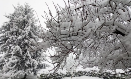 Neve: allerta arancione sulle Alpi Liguri, gialla sulla pianura alessandrina