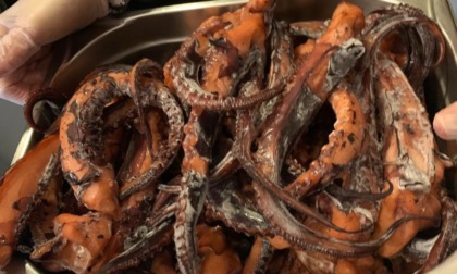 Torino: sequestrati 26 kg di carne e pesce mal conservati in un ristorante