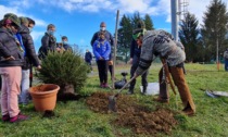 Acqui Terme: donati 9 pini per il Centro Sportivo di Mombarone