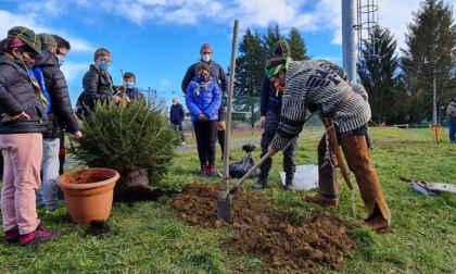 Acqui Terme: donati 9 pini per il Centro Sportivo di Mombarone