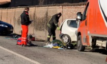 Incidente mortale sulla SP 181 verso Casal Cermelli: muore donna di 87 anni