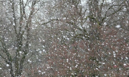 Meteo, deboli nevicate sul basso Piemonte