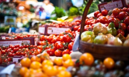 Alessandria, mozione di Locci e Sciaudone contro sprechi alimentari