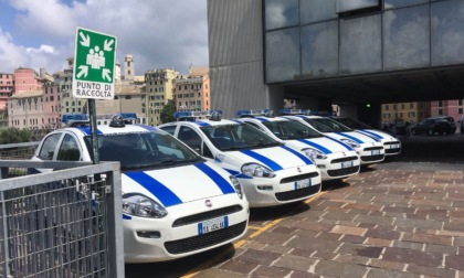 Genova, denunce della Polizia locale per assembramento per droga
