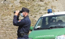 Accordo storico tra l'Arma dei Carabinieri e i Gruppi di Ricerca Ecologica
