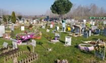 Si cercano gli autori degli scempi al cimitero degli animali di Alessandria