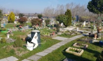 Ancora danni al cimitero degli animali di Alessandria: "Continuano a fare dispetti"