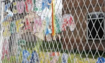 Alessandria: i bimbi del Franzini chiedono di tornare a scuola con un fiocco colorato