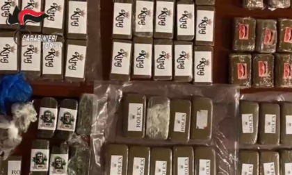 Torino: consegnavano droga a domicilio anche durante lockdown, 14 le misure cautelari