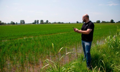 xFarm, tutta l’agricoltura in una App: l’iniziativa di un socio Cia Alessandria