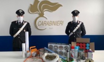 Asti, Carabinieri scoprono laboratorio di produzione cannabis, 2 arresti