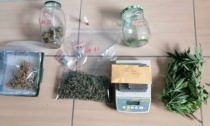 Tortona: droga e piante di cannabis in casa, arrestato 27enne