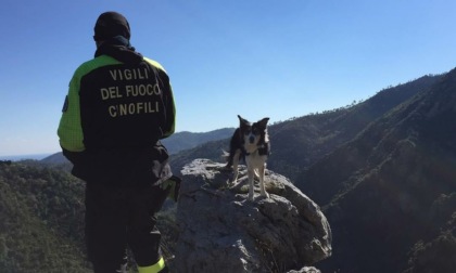 Addio a Canada, il Cane Pompiere del Nucleo Cinofili Liguria