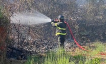 Savona, incendio intenso sulle alture di Ciantagalletto