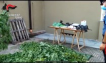 Torino: arrestati due pusher e sequestrati circa 5 kg di marijuana