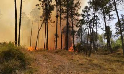 Incendio nei boschi a Framura: in azione due elicotteri