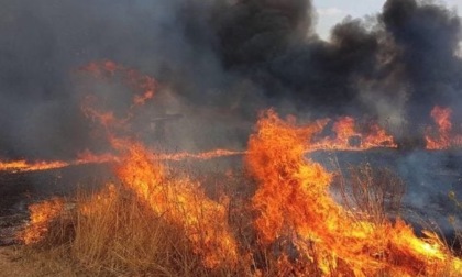 Roghi in Liguria: in fiamme un bosco nell'imperiese