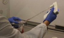 Coronavirus Piemonte: 2.720 nuovi casi e 3 decessi registrati oggi