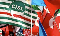Elezioni Rsu: Cisl Scuola prima in 7 su 8 province piemontesi