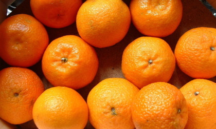 Confagricoltura donna per le vittime di violenza, consegnate ad Alessandria oltre 650 kg di clementine