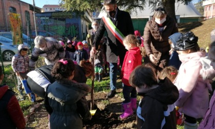 Tortona, Giornata degli alberi 2021: piantato nocciolo delle Langhe dalla scuola d'infanzia "Sarina"