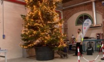 Alessandria, il centro vaccinale Caserma Valfrè ha il suo albero di Natale