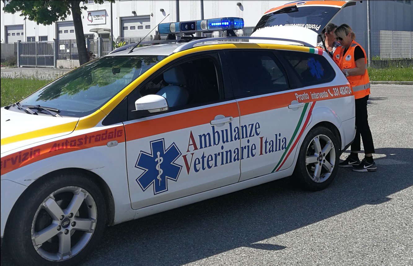 Casale Monferrato: dal 1° gennaio pronto intervento veterinario