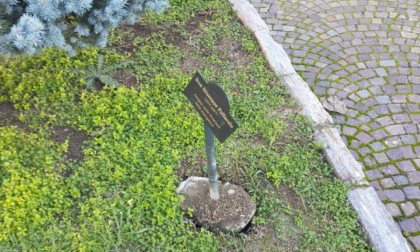 Vandalismo al Giardino dei Giusti di Pontecurone: rotte targhe in memorie delle vittime nazi-fasciste