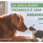 Alessandria, resoconto 2021 Ufficio Welfare Animale